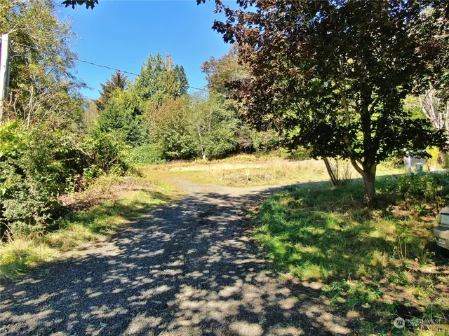 a view of a yard with plants and trees