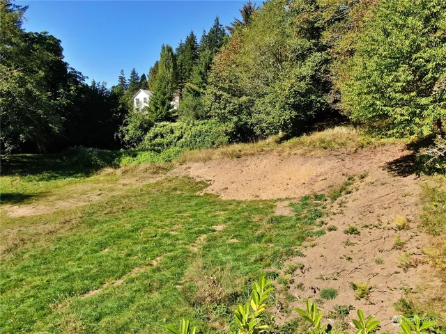 a view of a yard with a tree