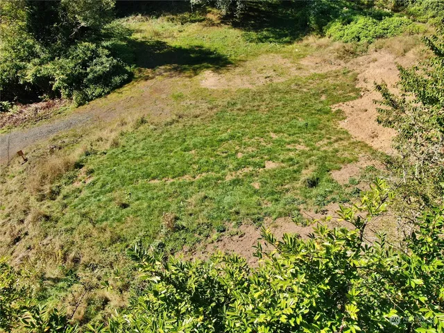 a view of a yard with plants and tree