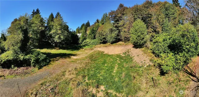a view of a yard with plants and a trees
