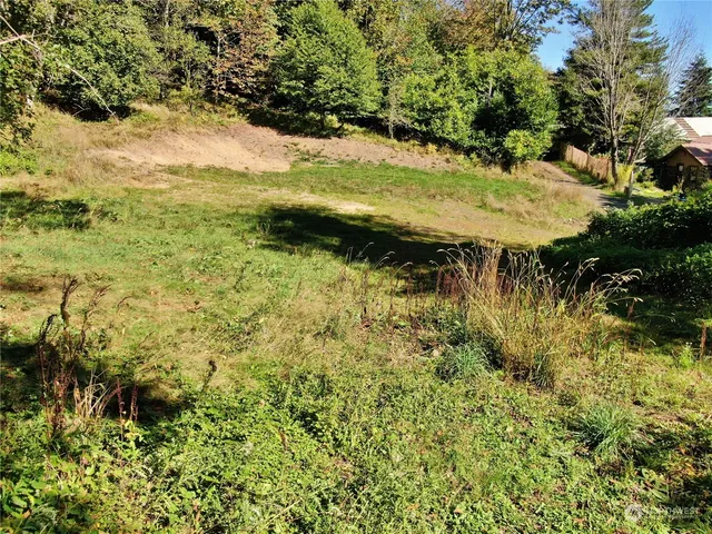 a view of a yard with a house