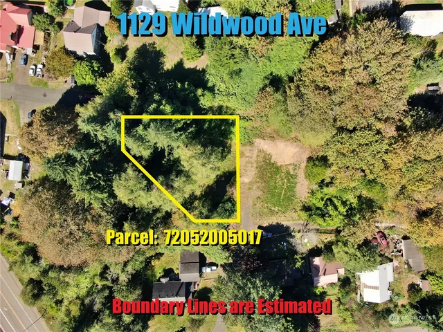 a plant that is in a garden