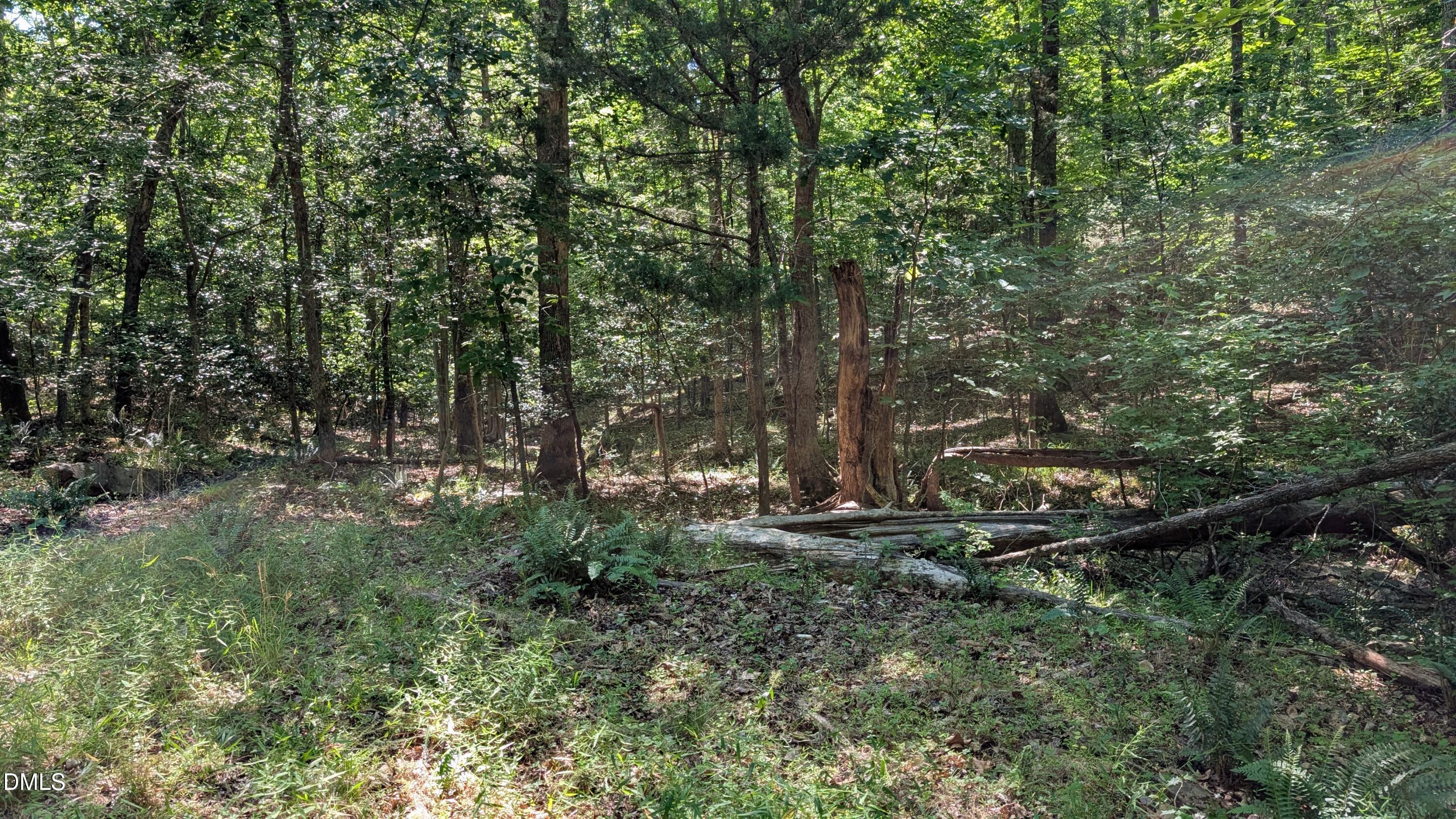 2069-lot B Bowen Road Rougemont, NC 27572 - Photo 4 of 5