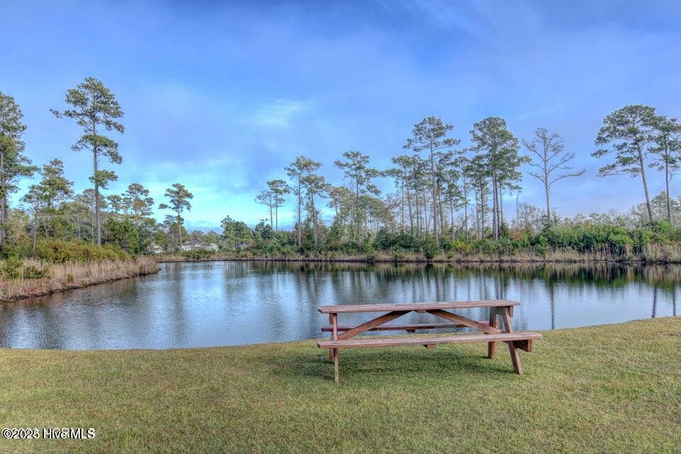 405 Harrison Court Sneads Ferry, NC 28460 - Photo 19 of 26 16