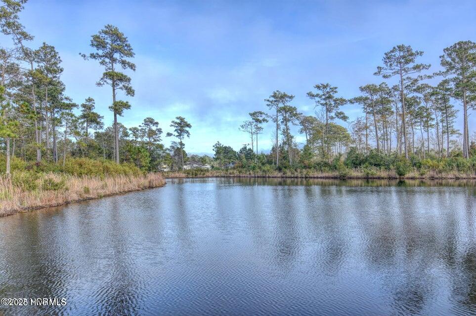 405 Harrison Court Sneads Ferry, NC 28460 - Photo 20 of 26 17