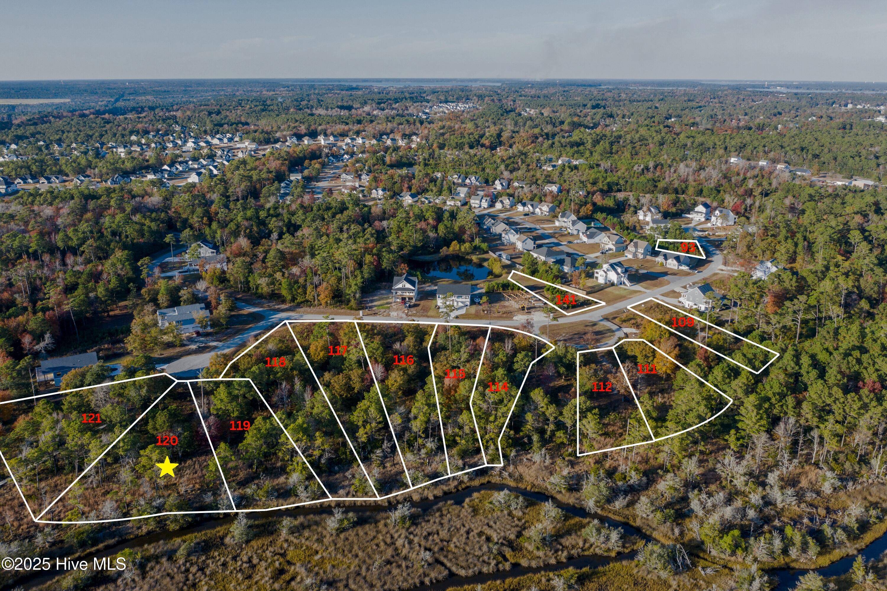 405 Harrison Court Sneads Ferry, NC 28460 - Photo 4 of 26 120