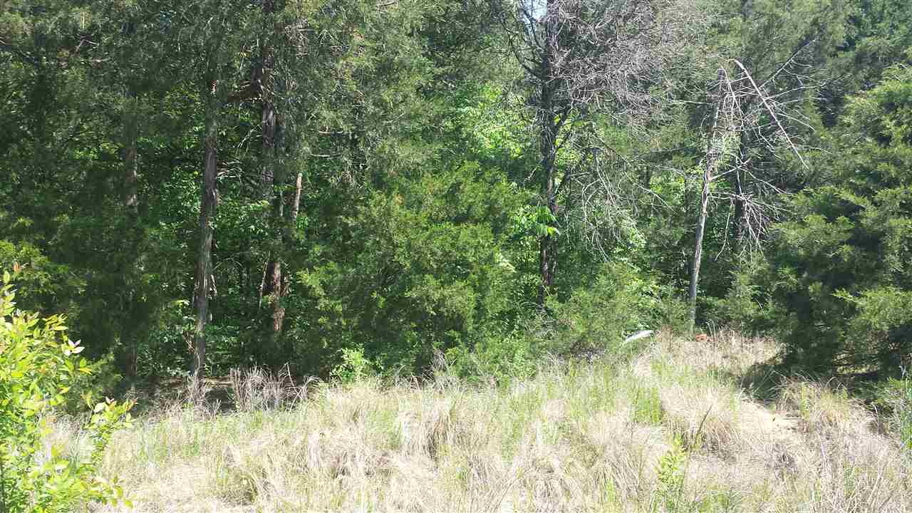 0 Felkel Landing Road, Unit LOT 6 Iva, SC 29655 - Photo 1 of 13 Gallery Image 1