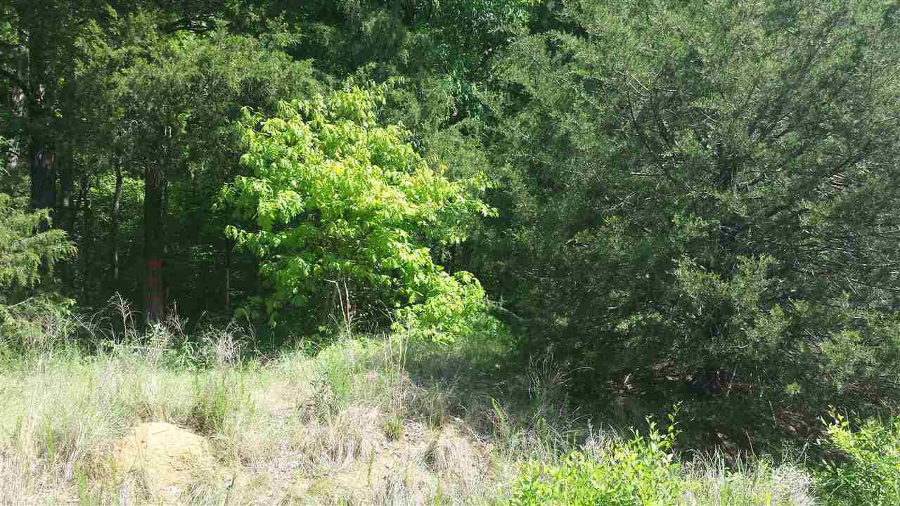 0 Felkel Landing Road, Unit LOT 6 Iva, SC 29655 - Photo 2 of 13 Gallery Image 2