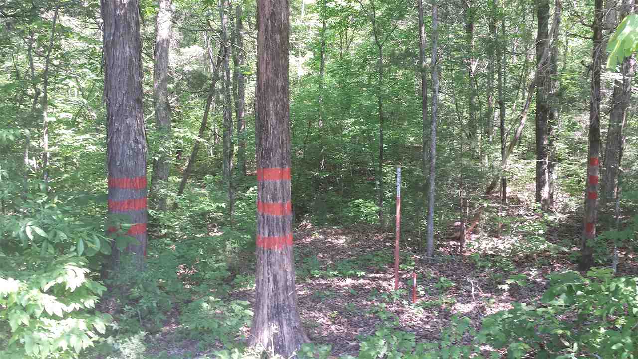 0 Felkel Landing Road, Unit LOT 6 Iva, SC 29655 - Photo 3 of 13 Gallery Image 3