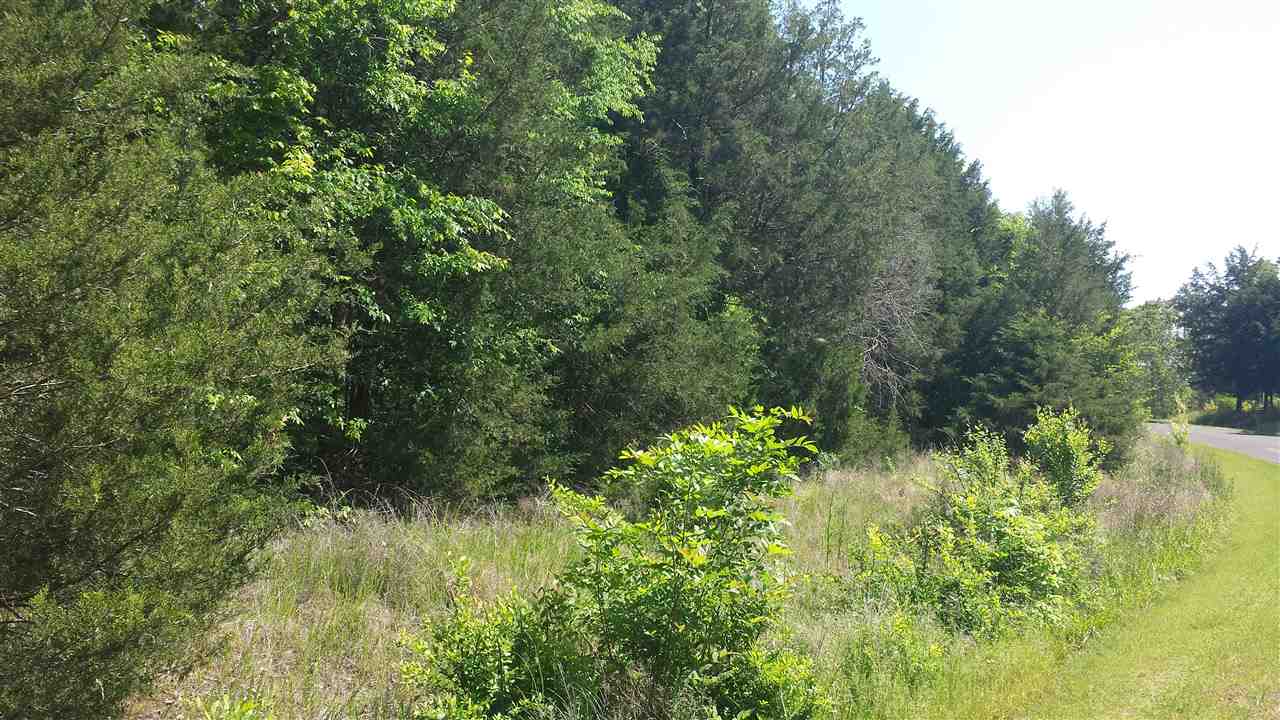 0 Felkel Landing Road, Unit LOT 6 Iva, SC 29655 - Photo 4 of 13 Gallery Image 4
