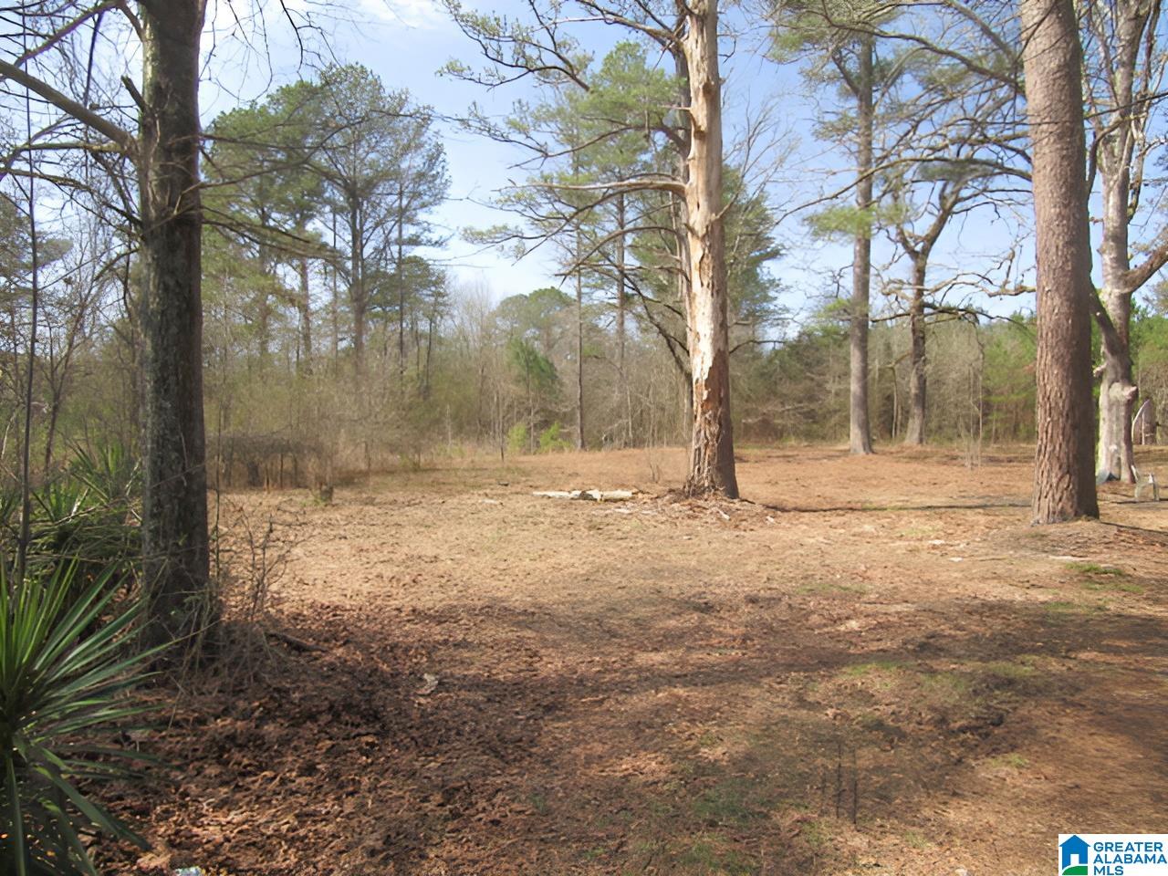 4429 Roy Webb Road Jacksonville, AL 36265 - Photo 12 of 26