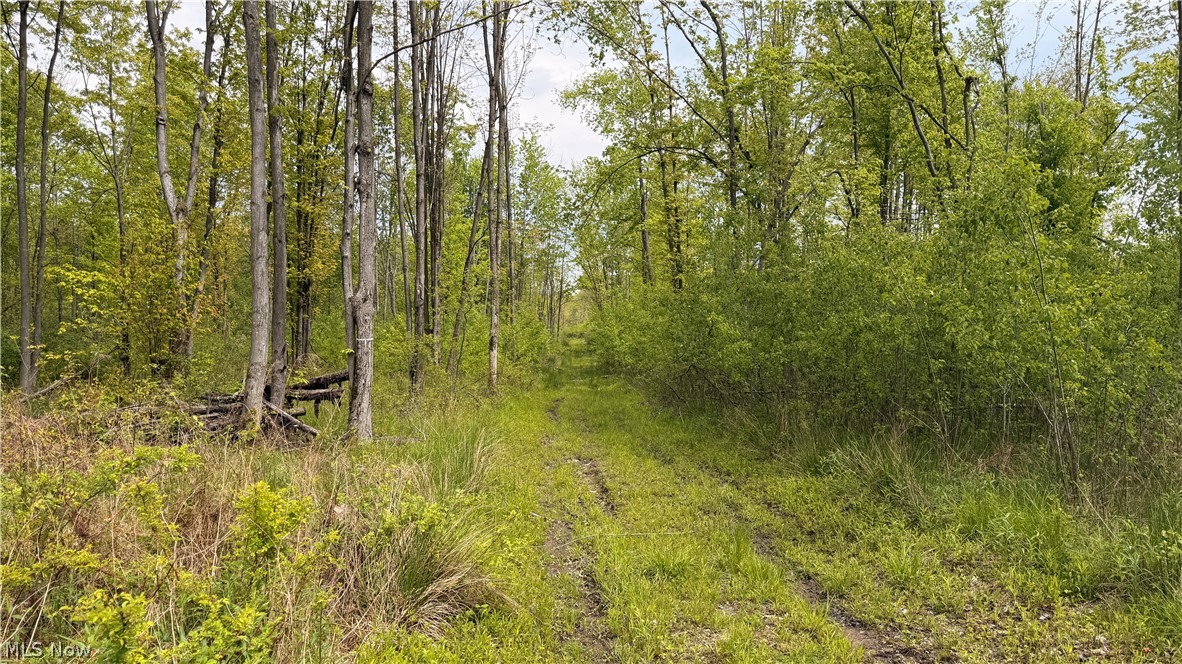Youngstown Kingsville Road Vienna, OH 44473 - Photo 16 of 21 Wooded property with a grass and dirt path