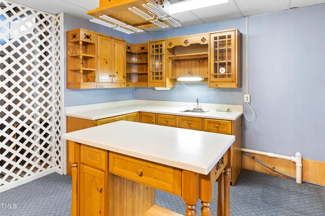 a bathroom with a sink and a shower