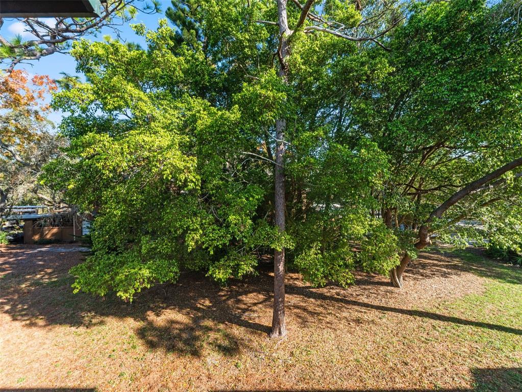 1008 Lennox Road West Palm Harbor, FL 34683 - Photo 19 of 30