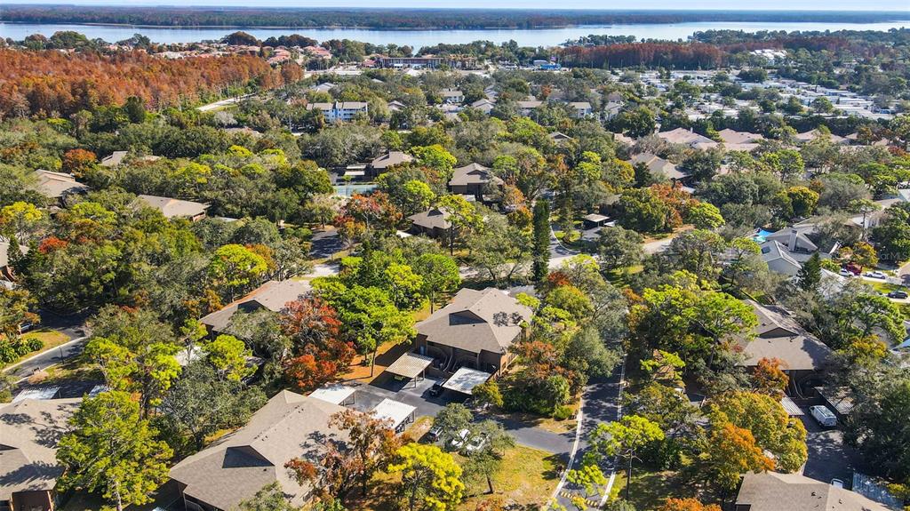 1008 Lennox Road West Palm Harbor, FL 34683 - Photo 26 of 30