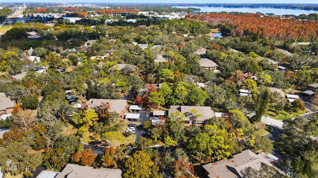 1008 Lennox Road West Palm Harbor, FL 34683 - Photo 27 of 30