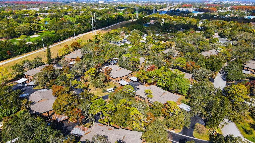 1008 Lennox Road West Palm Harbor, FL 34683 - Photo 28 of 30