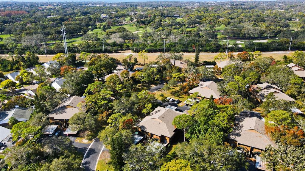 1008 Lennox Road West Palm Harbor, FL 34683 - Photo 29 of 30