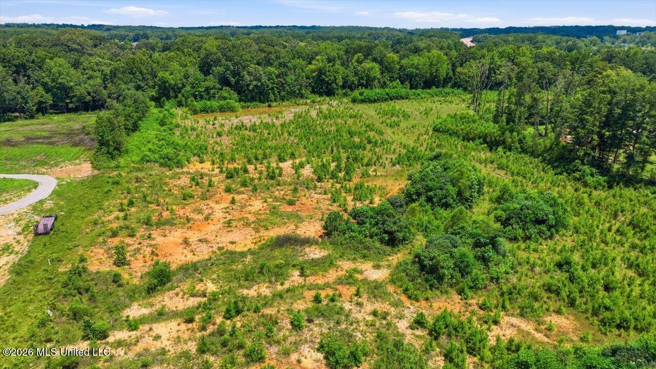 Luckney Road Brandon, MS 39042 - Photo 33 of 43 33-0 Luckney Rd _ Hometoursms.com