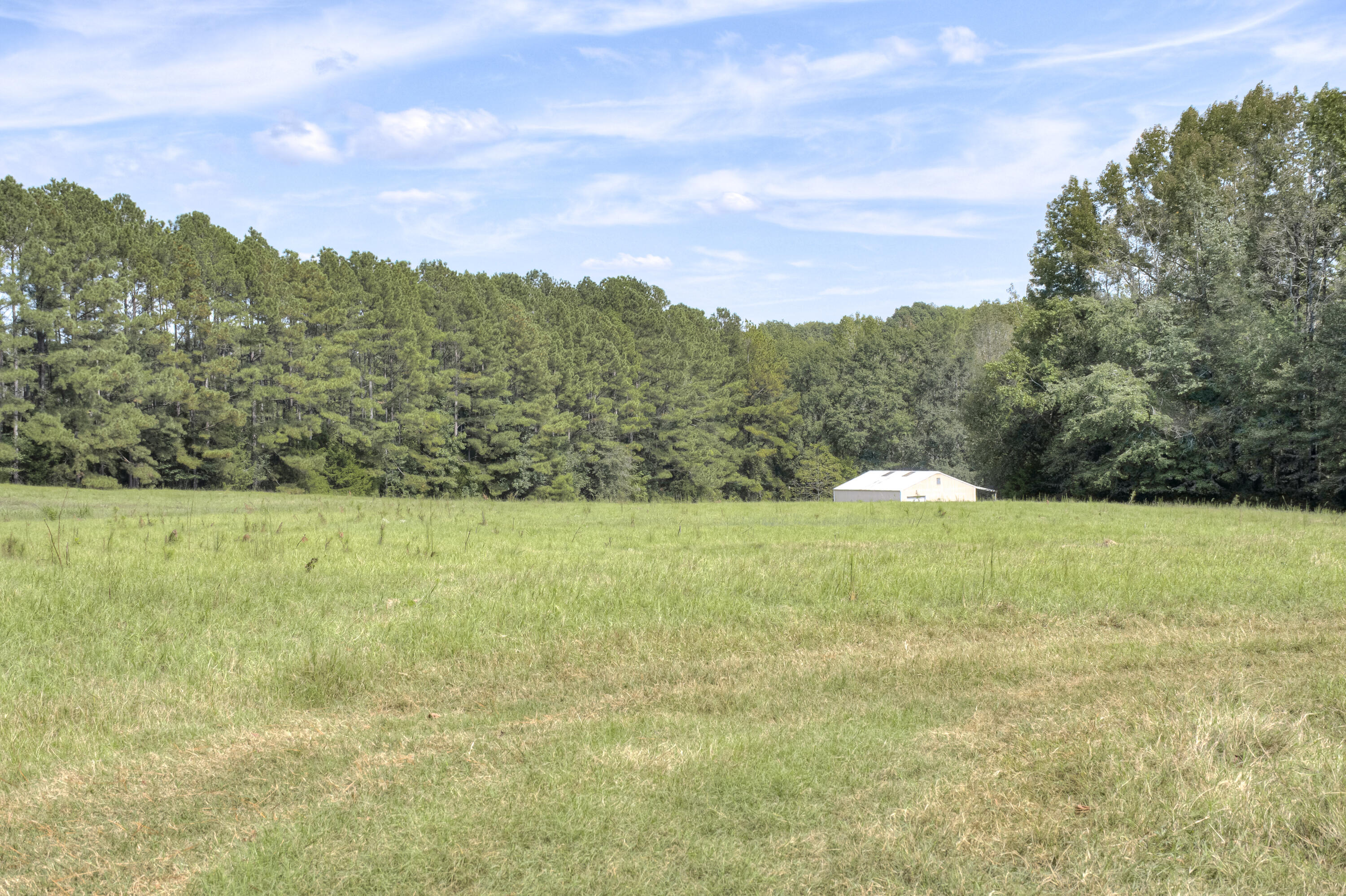 153 Rachel Road Ridge Spring, SC 29129 - Photo 24 of 57