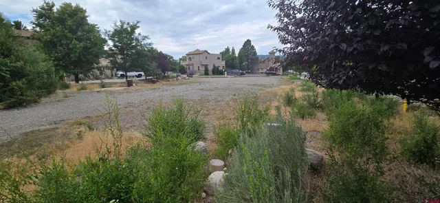 a picture of a tree in a backyard