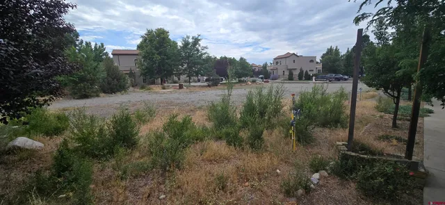 a view of a field with trees in the background