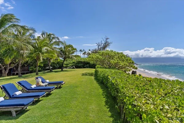 a view of a garden with lawn chairs
