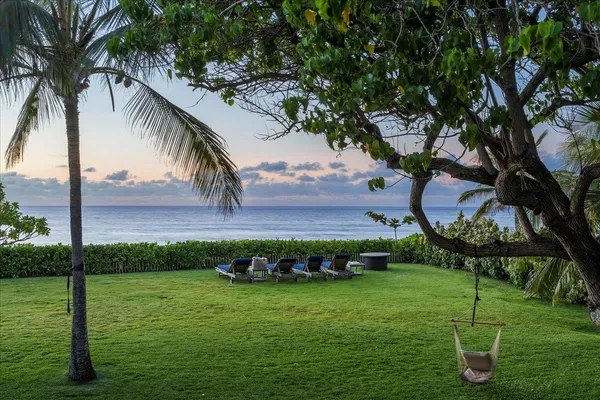 a view of a garden with a tree