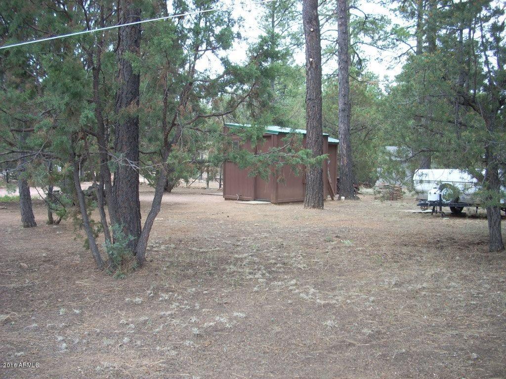 2880 Wahoo Road Overgaard, AZ 85933 - Photo 11 of 43 DSCN2464