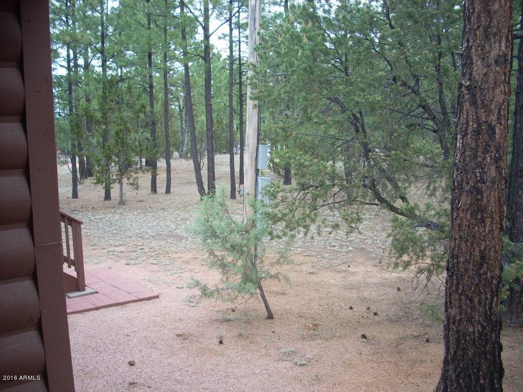 2880 Wahoo Road Overgaard, AZ 85933 - Photo 21 of 43 DSCN2474