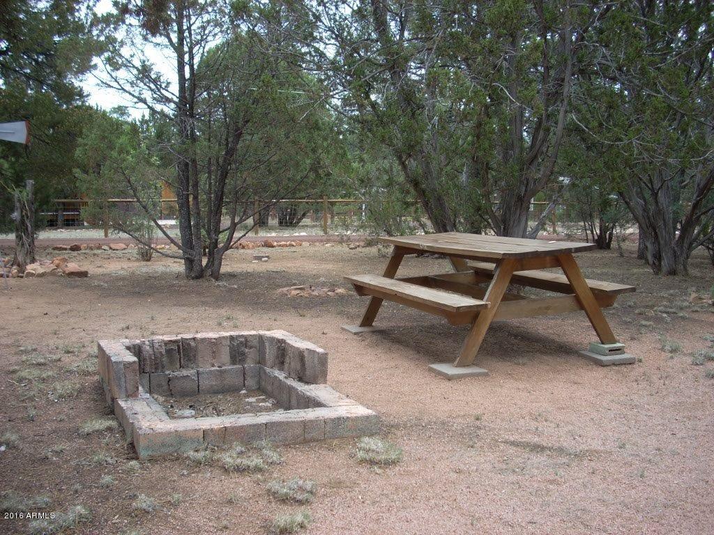 2880 Wahoo Road Overgaard, AZ 85933 - Photo 6 of 43 DSCN2458