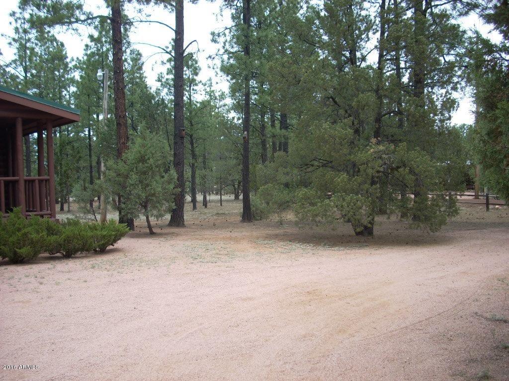 2880 Wahoo Road Overgaard, AZ 85933 - Photo 8 of 43 DSCN2460