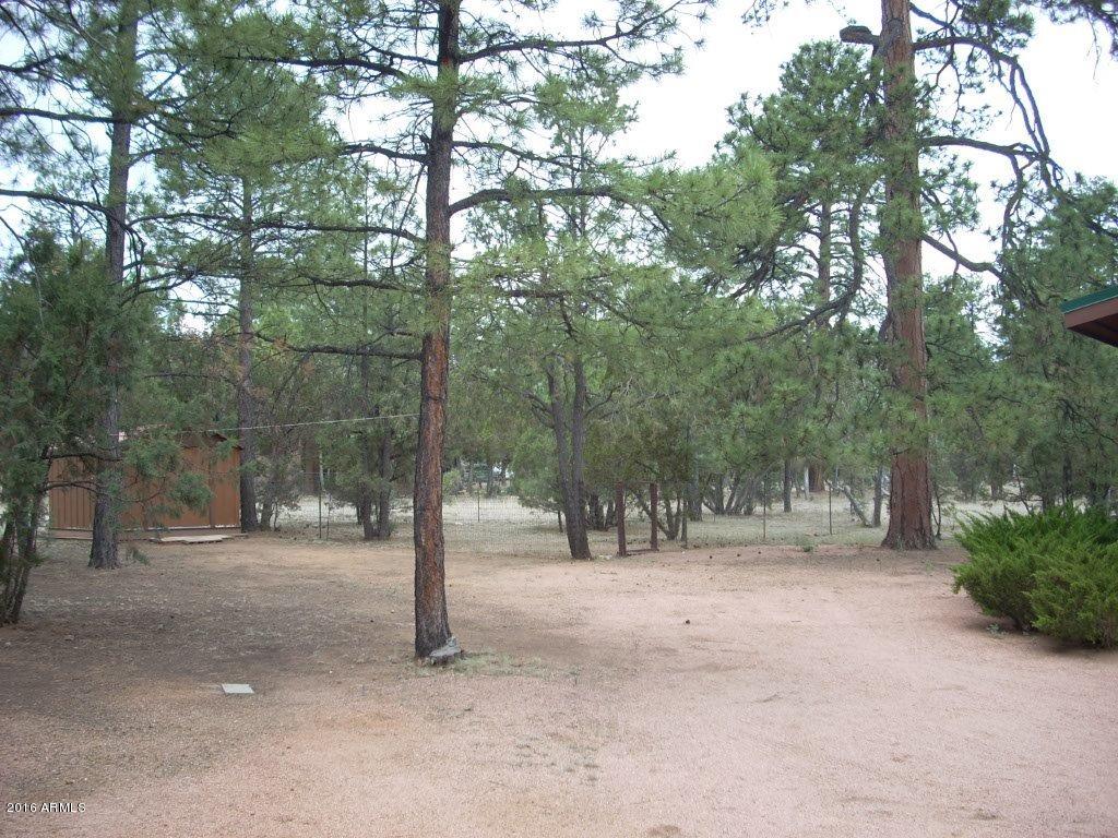 2880 Wahoo Road Overgaard, AZ 85933 - Photo 9 of 43 DSCN2461