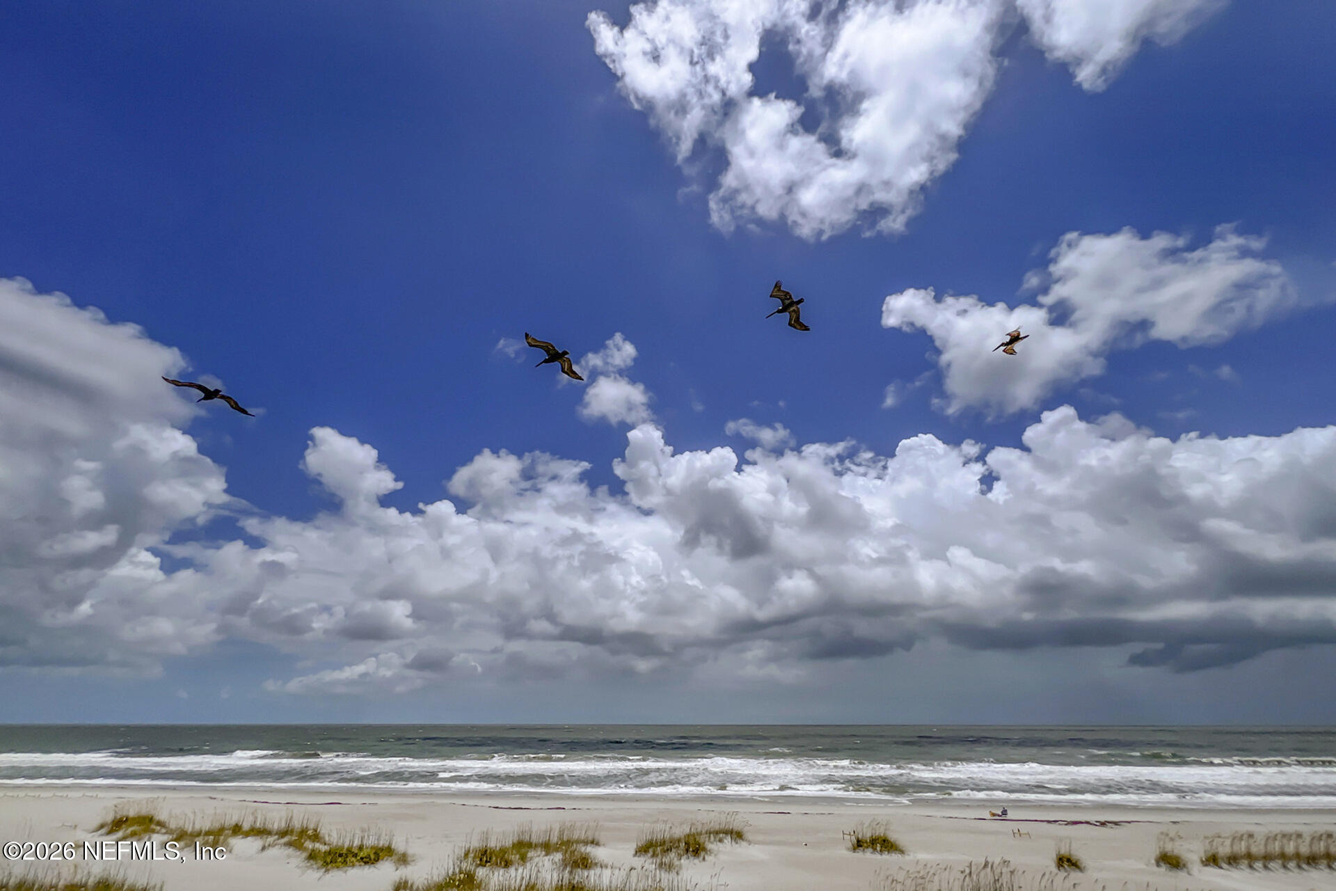 2999 1st Avenue, Unit B Fernandina Beach, FL 32034 - Photo 37 of 45 HD39