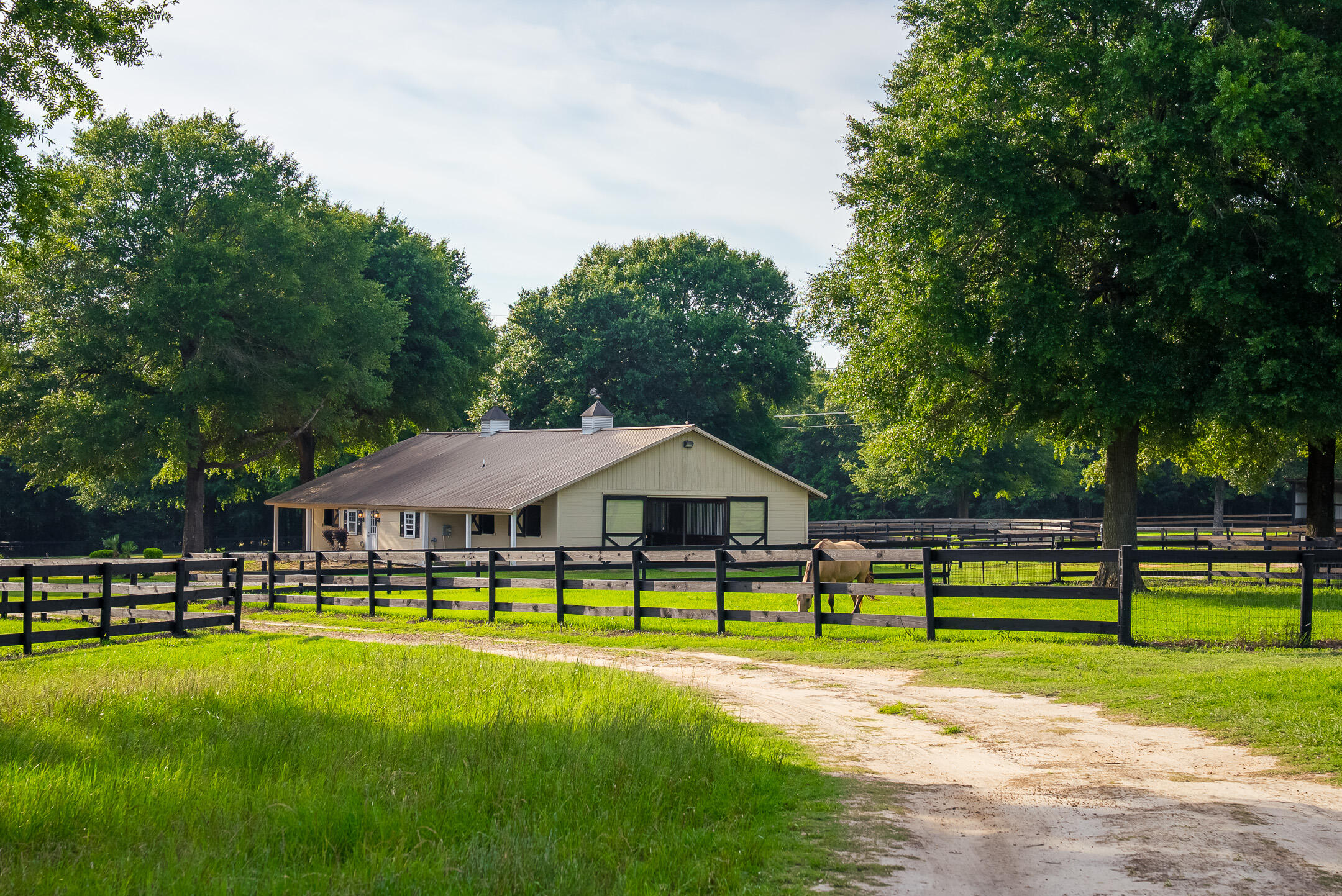 500 Burkelo Road Wagener, SC 29164 - Photo 69 of 80