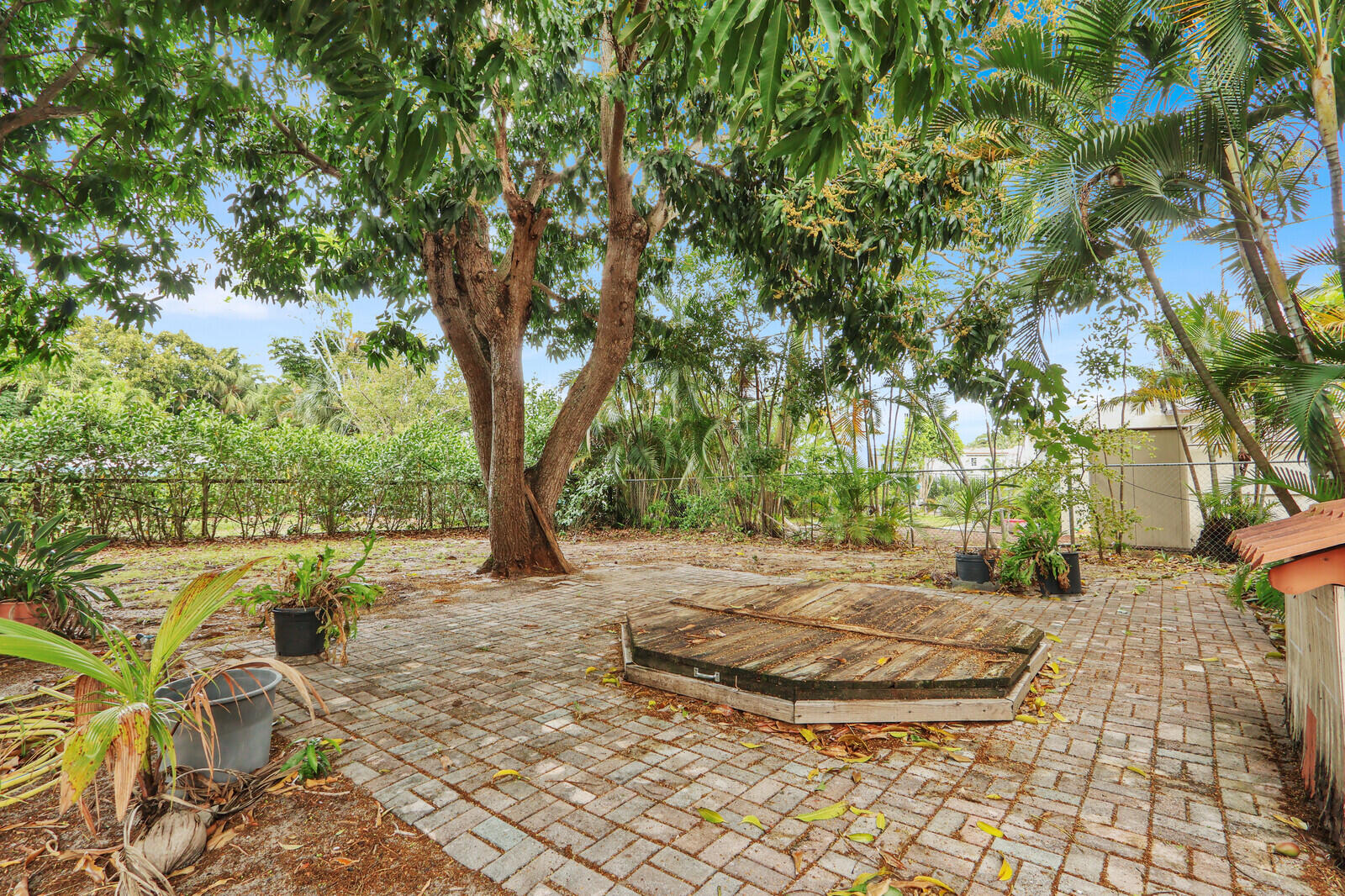 322 Westminster Road West Palm Beach, FL 33405 - Photo 60 of 68 a view of a yard with plants and trees