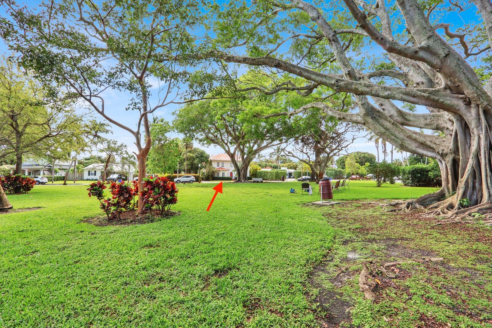 322 Westminster Road West Palm Beach, FL 33405 - Photo 64 of 68 a view of a park with large tree