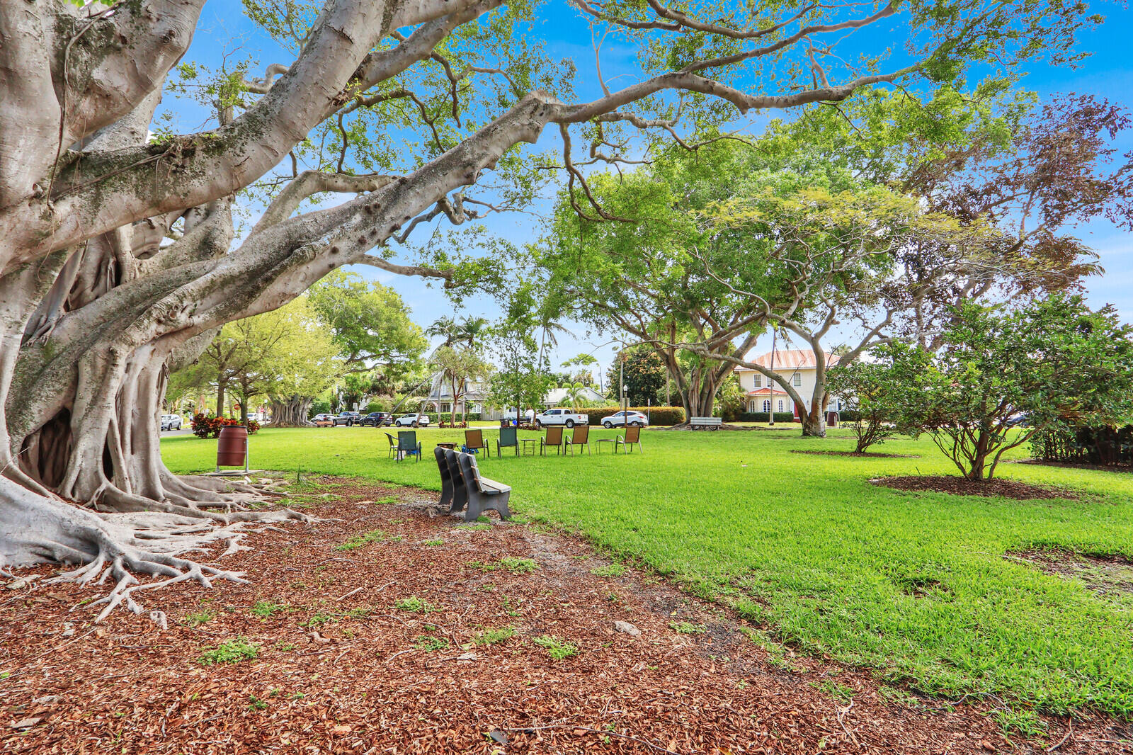322 Westminster Road West Palm Beach, FL 33405 - Photo 65 of 68 a view of a park with large trees