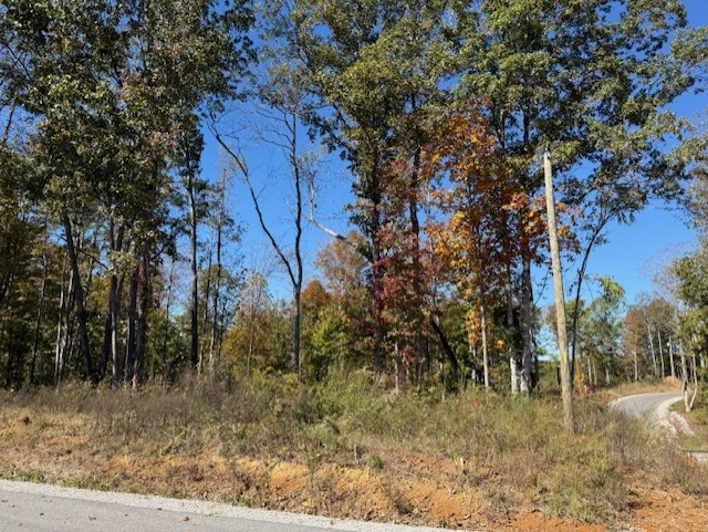 9599 Medlin Road Baxter, TN 38544 - Photo 2 of 6 a backyard of a house with lots of green space