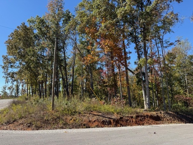 9599 Medlin Road Baxter, TN 38544 - Photo 3 of 6 a view of a yard with a tree