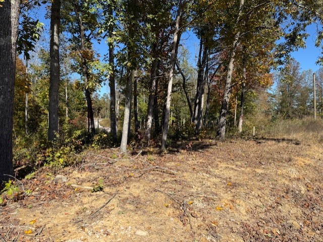 9599 Medlin Road Baxter, TN 38544 - Photo 4 of 6 a backyard of a house with lots of trees