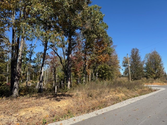 9599 Medlin Road Baxter, TN 38544 - Photo 5 of 6 a view of a yard covered with snow in front of house