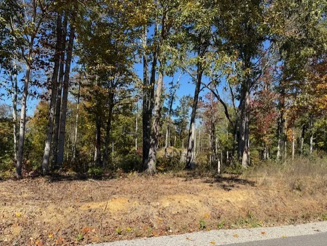 $68,900 | 9599 Medlin Road, Baxter, TN 38544