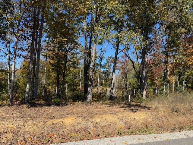 9599 Medlin Road Baxter, TN 38544 - Photo 6 of 6 a view of a backyard of the house