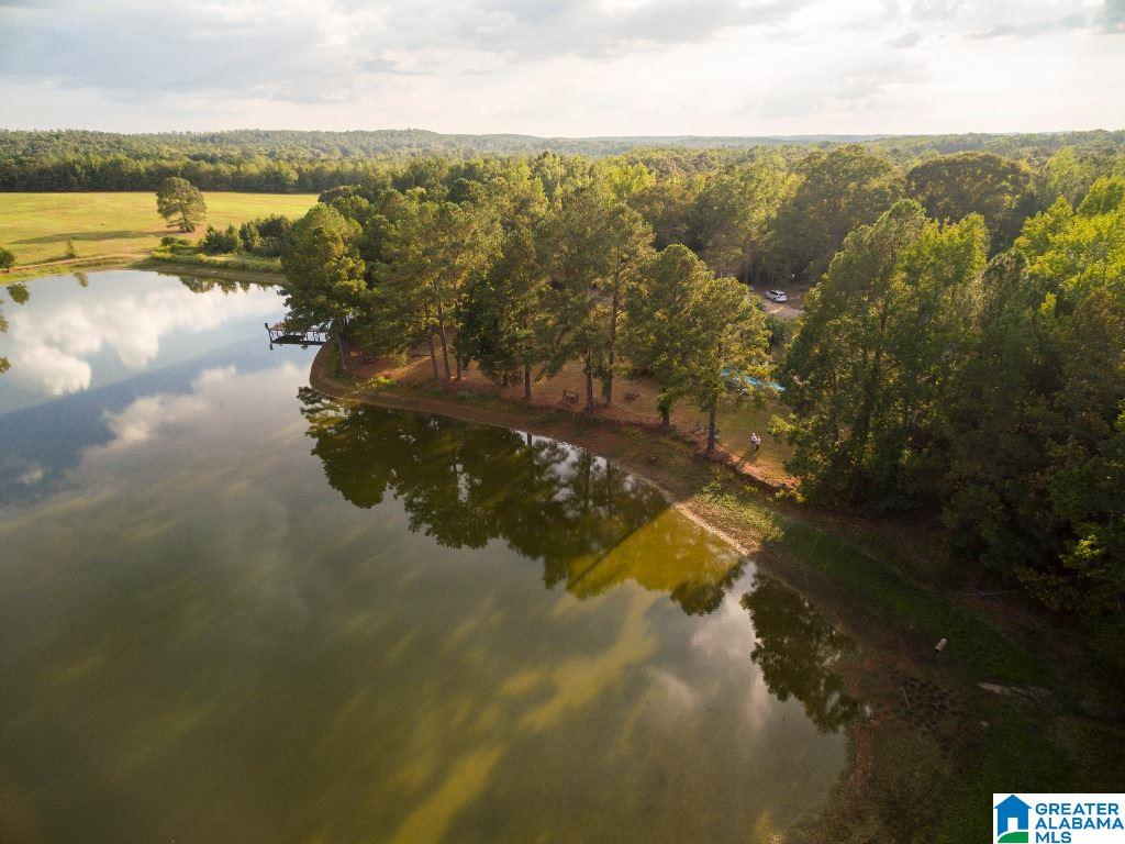 2307 County Road 46 Montevallo, AL 35115 - Photo 33 of 45