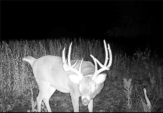 $679,500 | 0 92nd Highway, McLouth, KS 66054