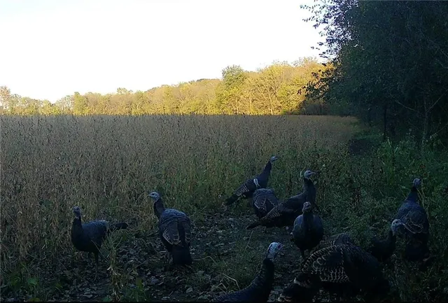 $679,500 | 0 92nd Highway, McLouth, KS 66054