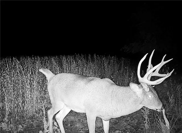 $679,500 | 0 92nd Highway, McLouth, KS 66054