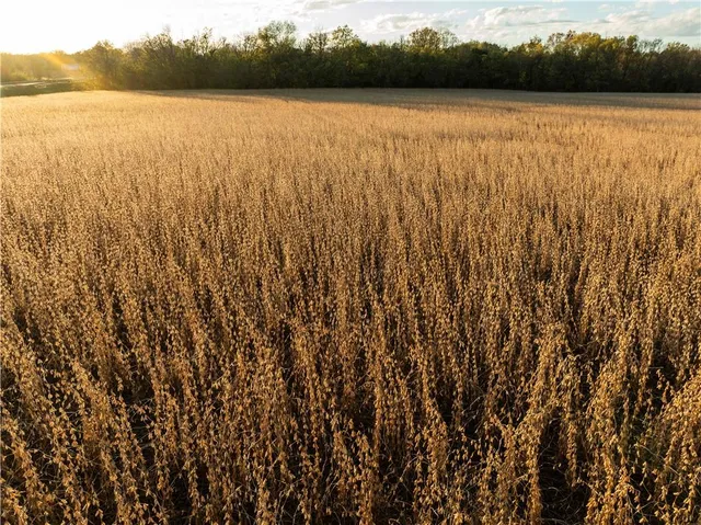 $679,500 | 0 92nd Highway, McLouth, KS 66054