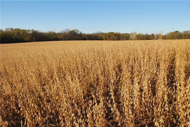 $679,500 | 0 92nd Highway, McLouth, KS 66054